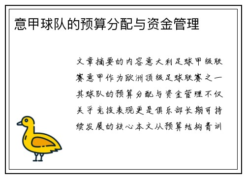 意甲球队的预算分配与资金管理